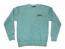Load image into Gallery viewer, USNY Sans Pigment Dyed Crewneck Sweatshirt (9 Colors)