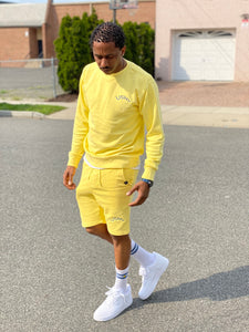 USNY Sans Pigment Dyed Crewneck Sweatshirt (9 Colors)
